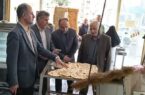 کیفیت نان متناسب با افزایش قیمت ارتقا یابد/ تشکیل ۷۳۰ پرونده تخلف