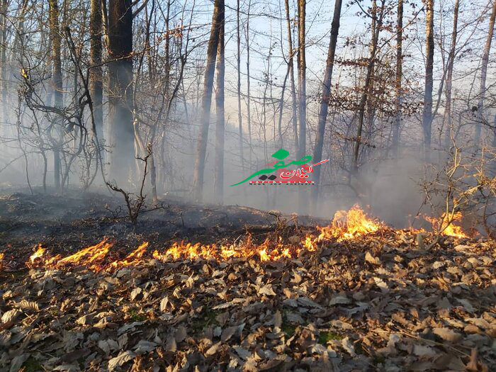 آتش سوزی در ۴ هزار متر مربع از اراضی جنگلی للندیز ماسوله