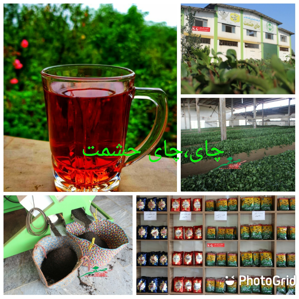 چای حشمت، نوشیدنی متفاوت با عطر و طعم طبیعی+تصاویر