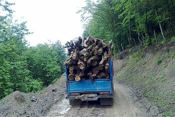 کشف بیش از ۲۵ تُن انواع چوب آلات قاچاق جنگلی و دستگیری ۴ نفر متهم در فومن و شفت