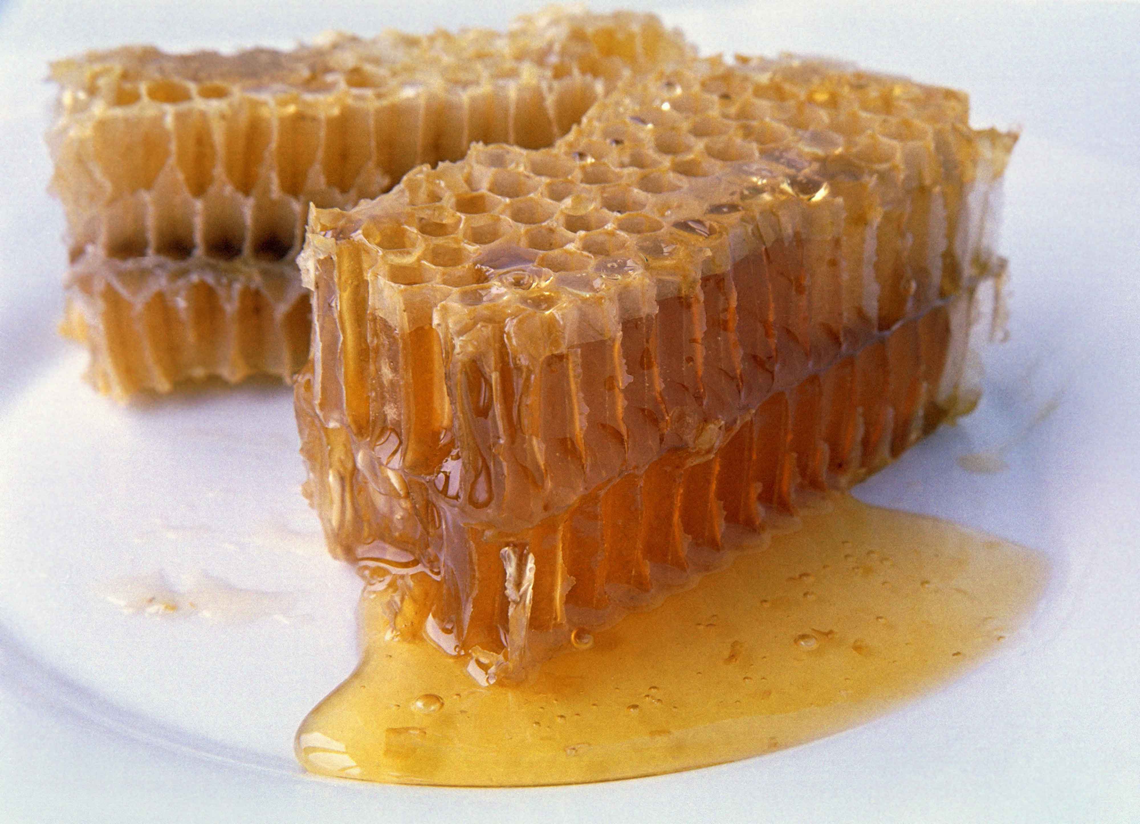 کم آبی عامل کاهش تولید عسل در استان گیلان