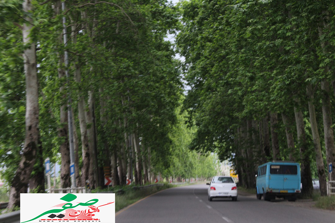 شهروندان از نزدیک شدن به درختان چنار هنگام اجرای عملیات سمپاشی خودداری نمایند شهروندان از نزدیک شدن به درختان چنار هنگام اجرای عملیات سمپاشی خودداری نمایند