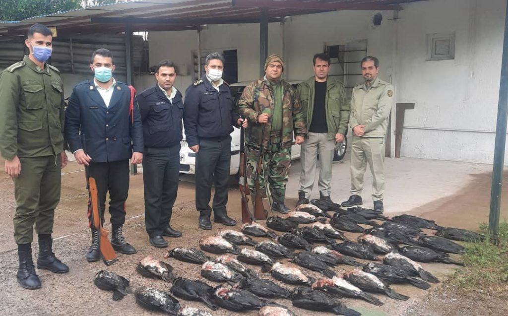 دستگیری شکارچی ۴۲ قطعه پرنده حمایت شده باکلان در گیلان