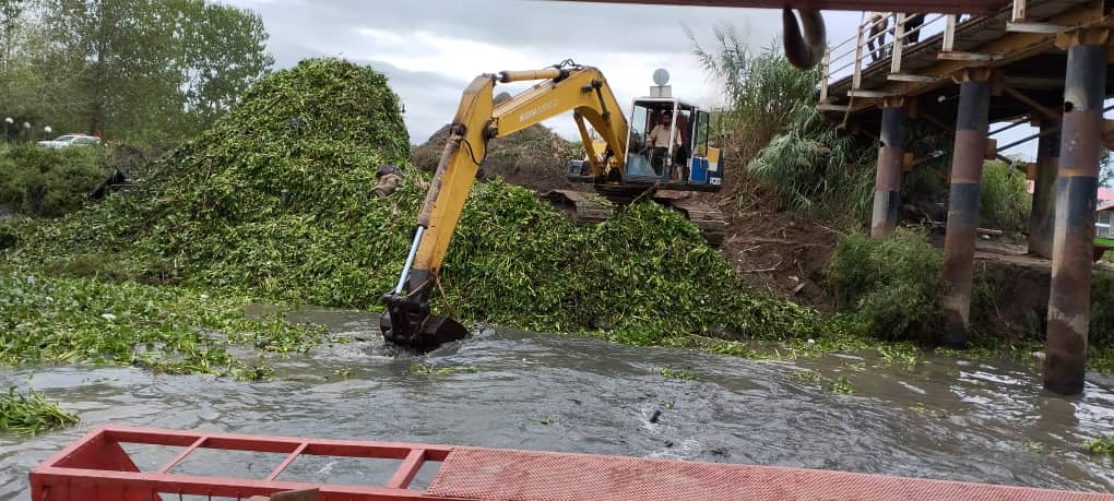 پاکسازی مسیر زیر پل نهنگ روگا از تجمع سنبل آبی و پسماند در تالاب انزلی