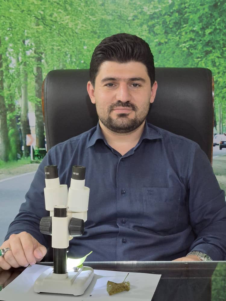 مدیریت شهری منطبق بر مطالبات نسل Y و Z