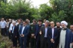 پیوند عمیق میان «تلاش زمینی» و «توکل آسمانی» درآیین نخستین برداشت مکانیزه برنج +فیلم