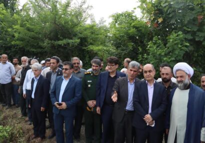 پیوند عمیق میان «تلاش زمینی» و «توکل آسمانی» درآیین نخستین برداشت مکانیزه برنج +فیلم پیوند عمیق میان «تلاش زمینی» و «توکل آسمانی» درآیین نخستین برداشت مکانیزه برنج +فیلم