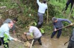 رئیس سازمان جهاد کشاورزی گیلان در احیای سنت ایلجار در لایروبی انهار شفت چکمه پوش شد