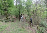 محیطبانان، جلوهای از تعهد، ایثار و مسئولیتپذیریاند محیطبانان، جلوهای از تعهد، ایثار و مسئولیتپذیریاند