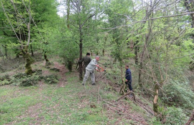 محیطبانان، جلوهای از تعهد، ایثار و مسئولیتپذیریاند