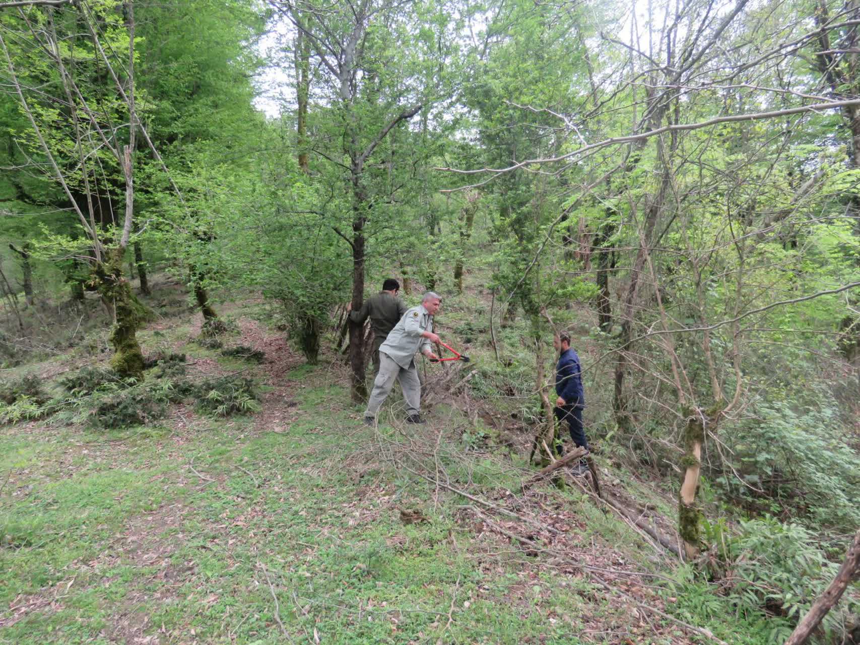 محیطبانان، جلوهای از تعهد، ایثار و مسئولیتپذیریاند