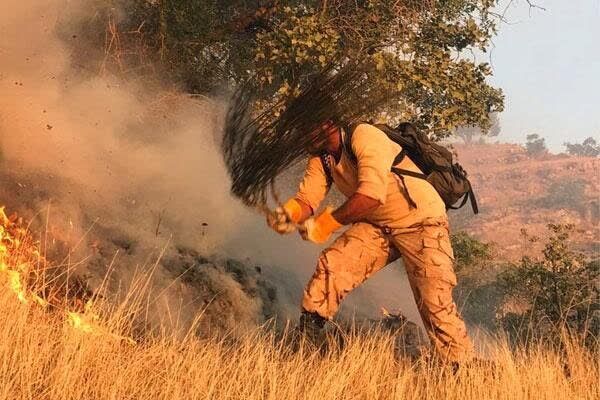 گونه‌های گیاهی و زیست‌بوم‌های جانوری تحت شعاع آتش قرار گرفت /استاندار مدیریت میدانی بحران آتش سوزی  را در دست گرفت