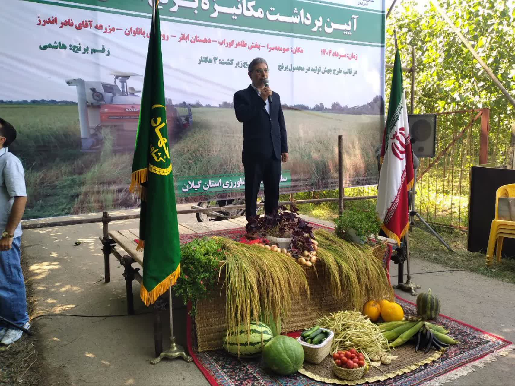 صومعه سرا با تولید سالانه ۱۵۱ هزار تن شلتوک در رتبه سوم کشور است