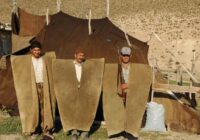 جلوی انحلال سازمان امور عشایر ایران را بگیرید