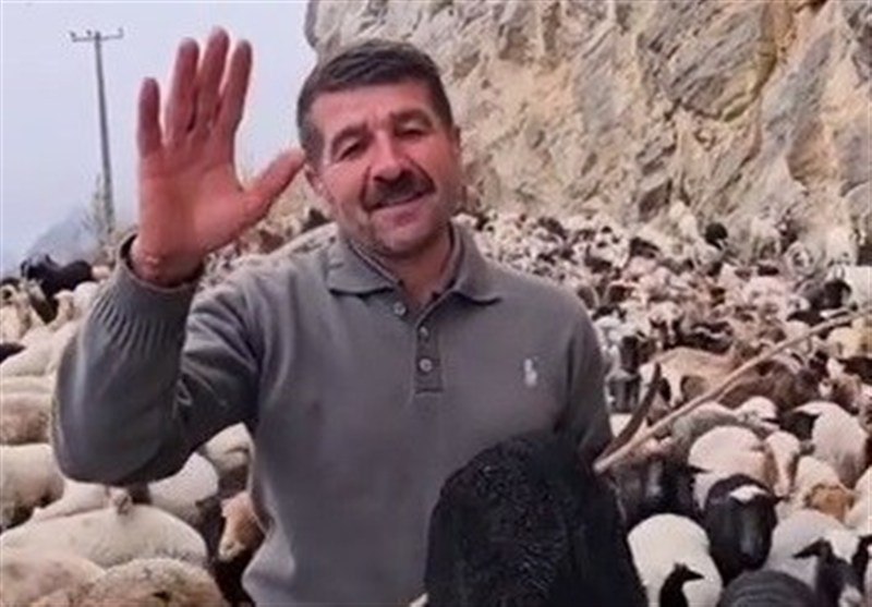 تکذیب ادعای تلفات ۵۰ دام در اشکورات/ دامپزشکی رودسر‌هیچ گزارشی دریافت نکرد