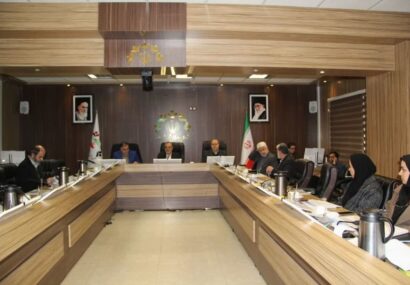 در سال ۱۴۰۵ توزیع عادلانه اعتبارات در سازمان‌ها و مناطق شهرداری مورد تأکید است/ اعتبارات و مسئولیت نگهداری پارک‌ها و فضای سبز به سازمان سیمامنظر منتقل شد