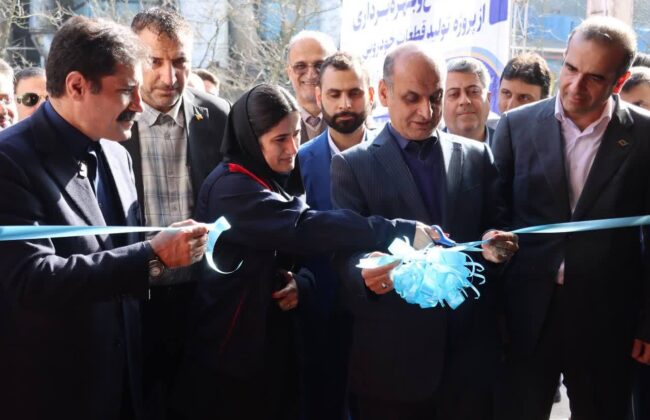 افتتاح و آغاز اجرای۴۶ طرح سرمایه‌گذاری با ۱۸۹۰ میلیارد تومان در منطقه آزادانزلی