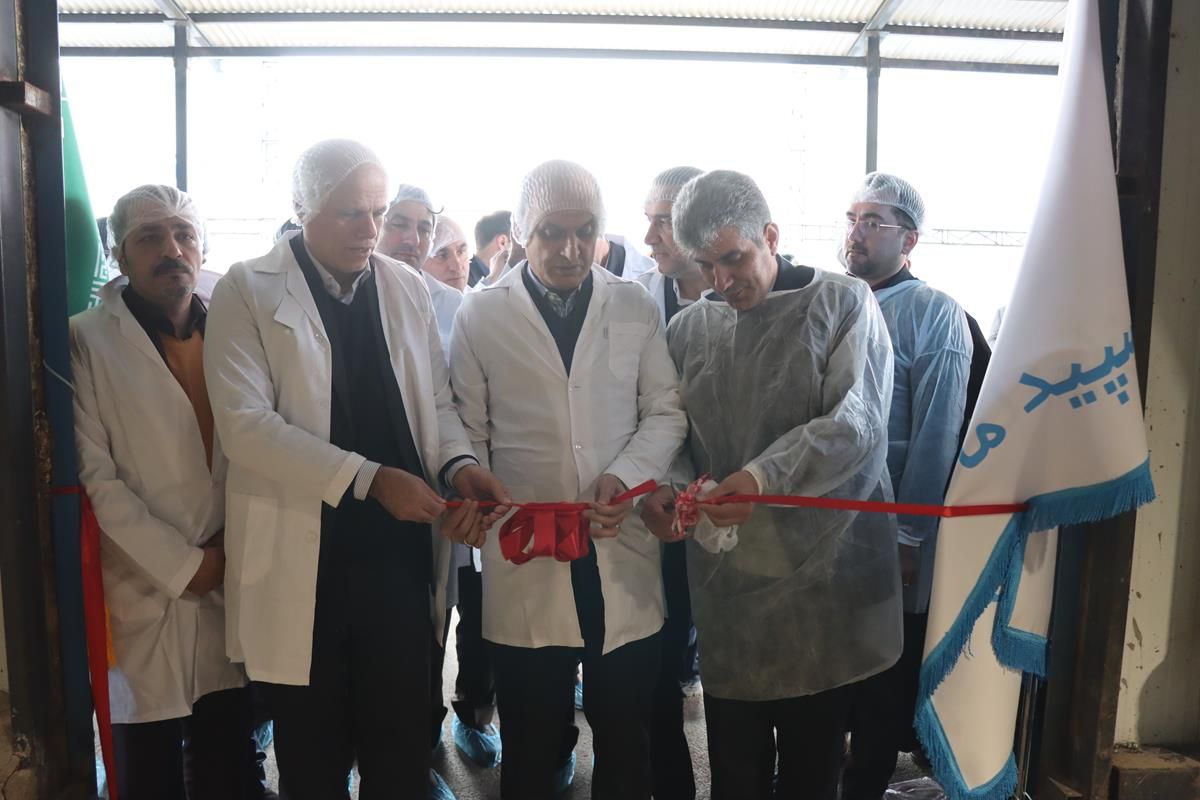 تحقق سیاست‌های اشتغال‌زایی دولت در شفت با افتتاح کارخانه تولید خوراک دام و طیور «سپید ماکیان»