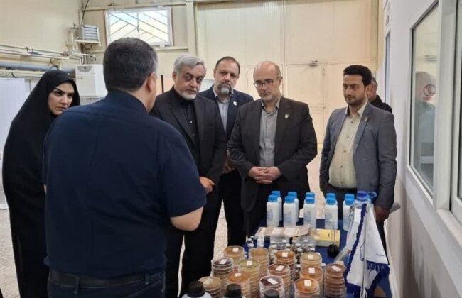 تعامل دانش‌بنیان‌ها و نهادهای دولتی، پیش‌شرط توسعه اقتصاد دانش‌بنیان است