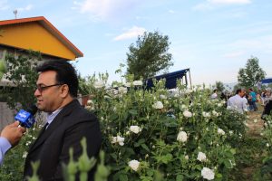 برگزاری جشنواره گلاب گیلده با هدف رونق تولید و رشد اقتصادی در شهرستان شفت