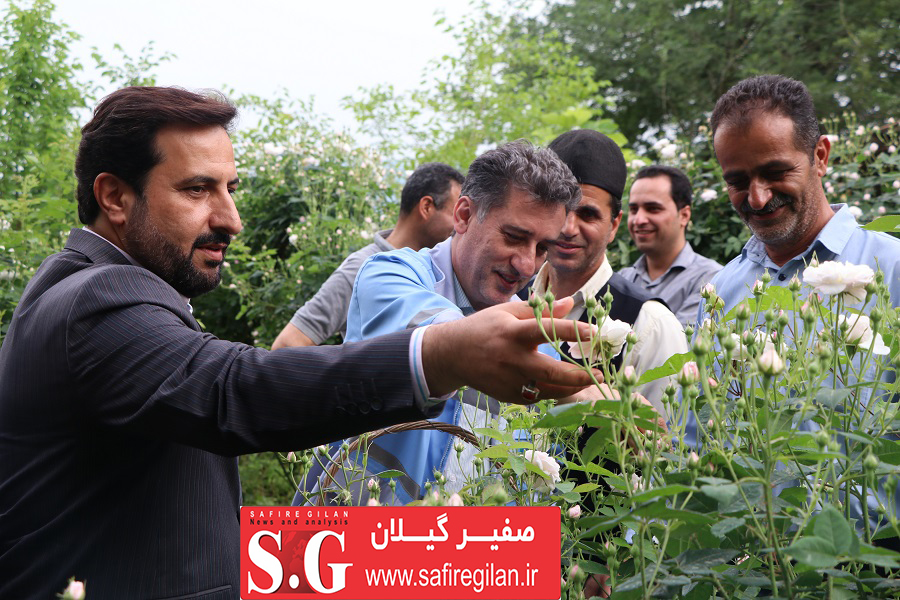 بازدید از دو کارگاه گلاب گیری  در روستای گیلده شهرستان شفت/دیار گل و گلاب گیلان
