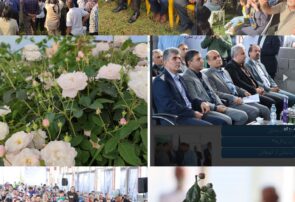 از بندر انزلی تا شفت محروم /چه فرقی بود بین اولین جشنواره بلوبری در انزلی تا هشتمین جشنواره گلابگیری گیلده شفت