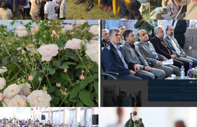 از بندر انزلی تا شفت محروم /چه فرقی بود بین اولین جشنواره بلوبری در انزلی تا هشتمین جشنواره گلابگیری گیلده شفت