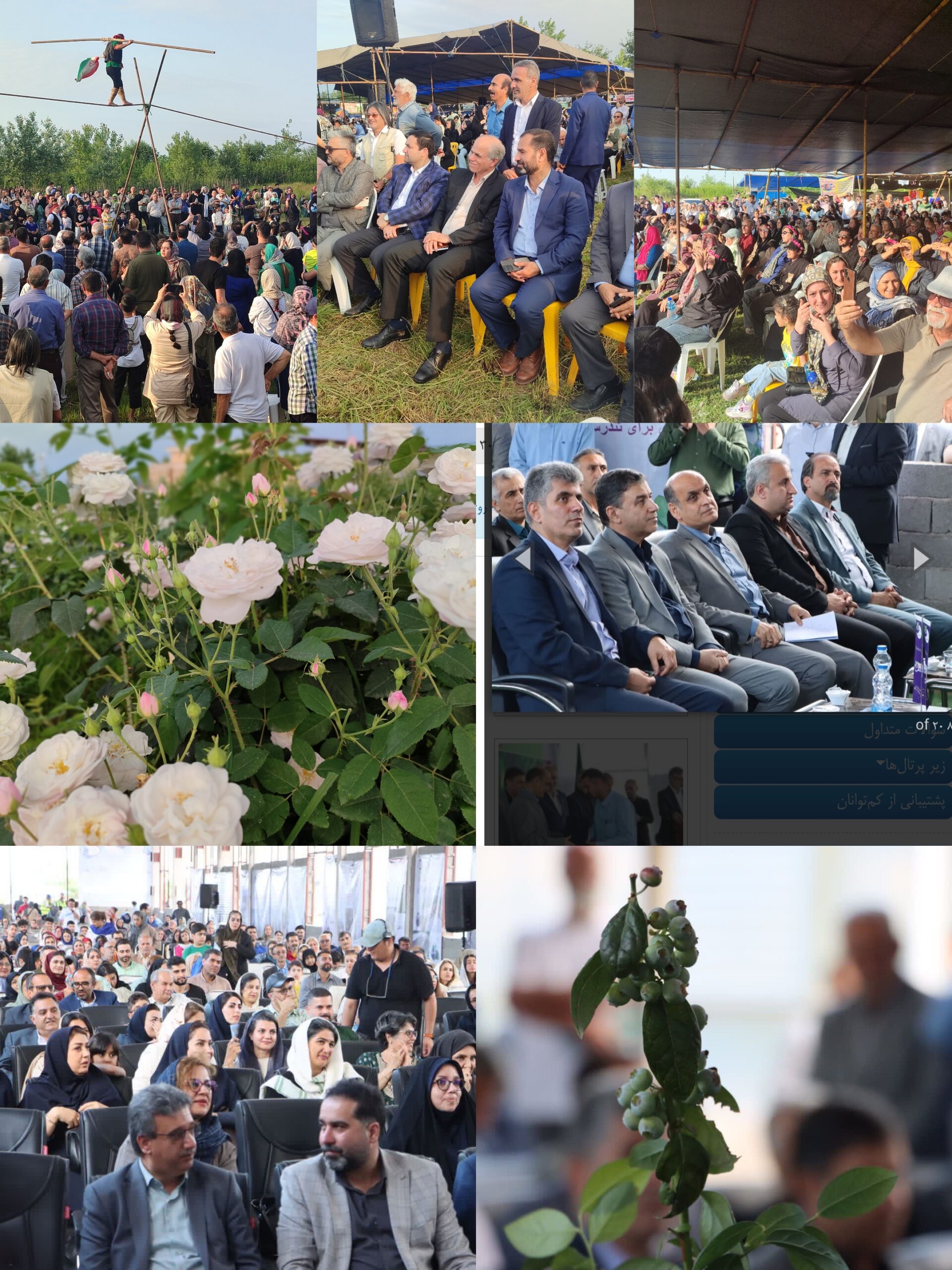 از بندر انزلی تا شفت محروم /چه فرقی بود بین اولین جشنواره بلوبری در انزلی تا هشتمین جشنواره گلابگیری گیلده شفت