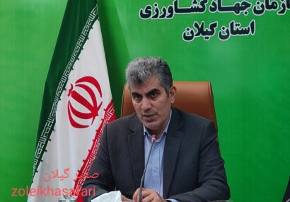 اشتغال‌زایی هزار نفری طرح کشاورزی در گیلان همزمان با دهه فجر