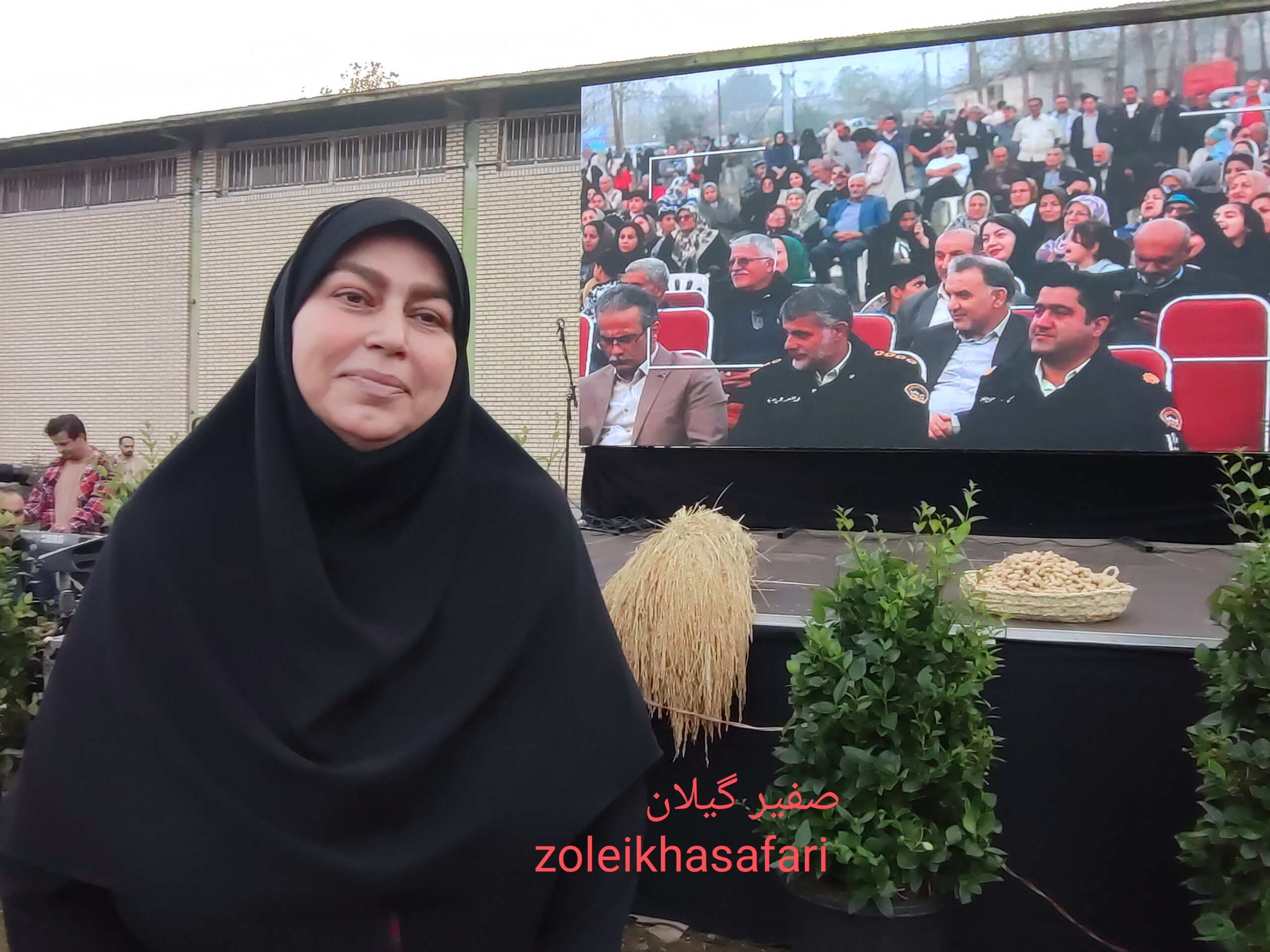 از «توکا» تا «تی تی» و «هستی»؛ نسل تازه برنج‌های بومی ایران در راه بازار