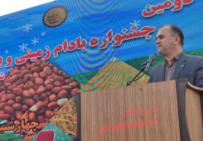 ۳۰۰ هزار هکتار از اراضی لشت نشاء به تولید برنج و بادام اختصاص دارد ۳۰۰ هزار هکتار از اراضی لشت نشاء به تولید برنج و بادام اختصاص دارد