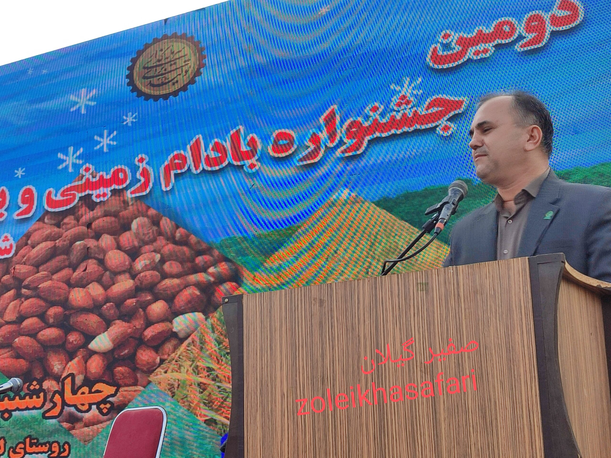 ۳۰۰ هزار هکتار از اراضی لشت نشاء به تولید برنج و بادام اختصاص دارد