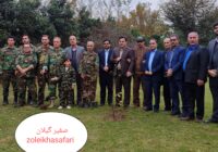 زنده نگه داشتن یاد و نام میرزا کوچک خان جنگلی با نهال بومی هیرکانی