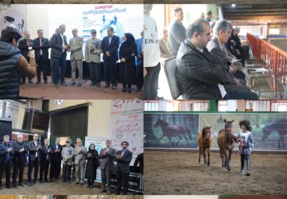 اسب کاسپین متعلق به حاشیه خزر است/احیای اسب کاسپین فراتر از یک رویداد نمایشی است اسب کاسپین متعلق به حاشیه خزر است/احیای اسب کاسپین فراتر از یک رویداد نمایشی است