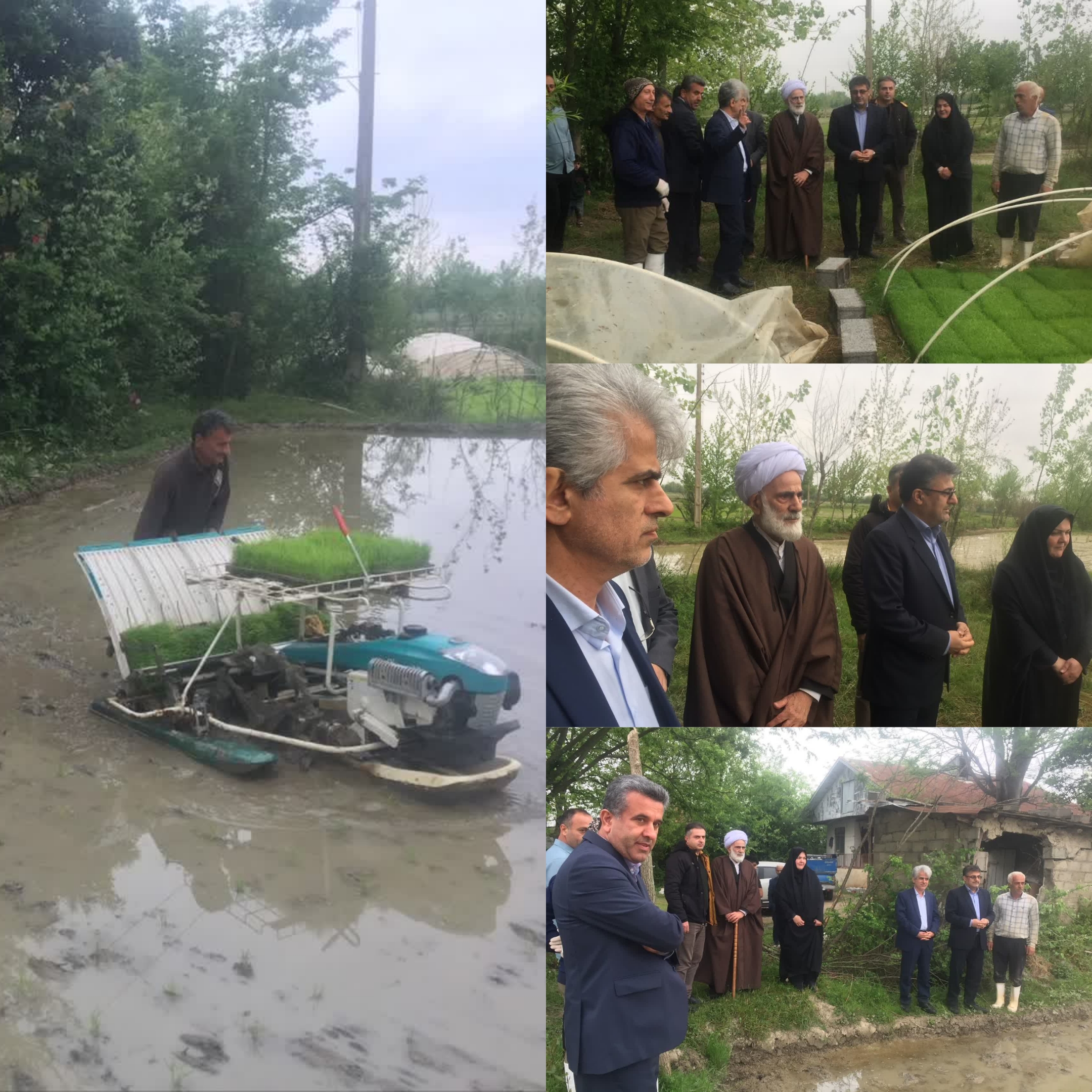 آغاز اولین نشاکاری مکانیزه برنج در روستای ازبر فومن