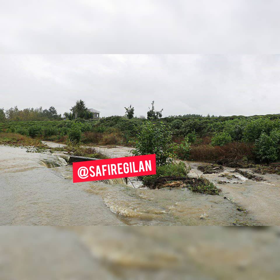 هشدار جاری شدن سیلاب در مناطق مختلف گیلان/حتمال خسارت به محصولات کشاورزی در گیلان