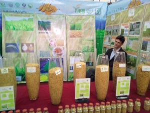 image_2018_12_15-11_31_47_846_NW7