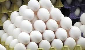 کشف ۲ تن تخم مرغ فاسد در رودسر
