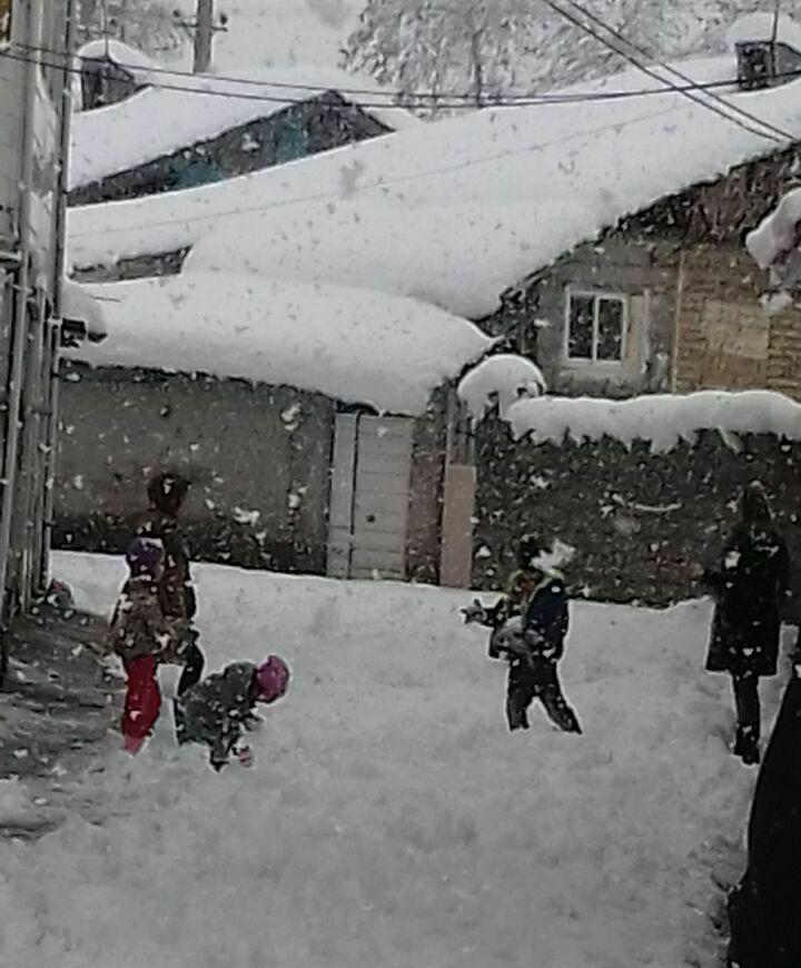 تعطیلی مدارس گیلان  در روز شنبه به علت یخبندان